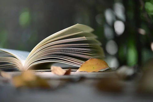 新鄉(xiāng)市新華書(shū)店文學(xué)類(lèi)圖書(shū)周榜 文藝創(chuàng)作類(lèi)熱銷(xiāo)精選